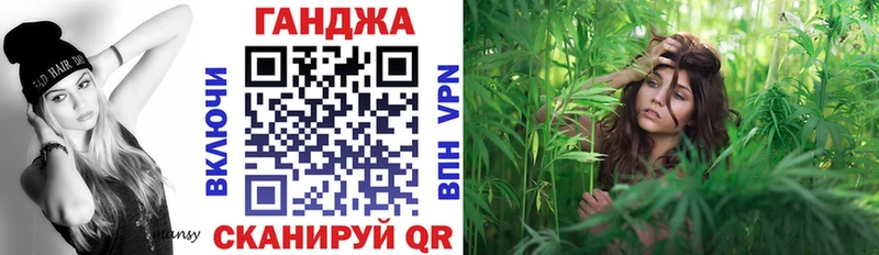 Купить закладки  Дорогобуж  Канабис AK-47 